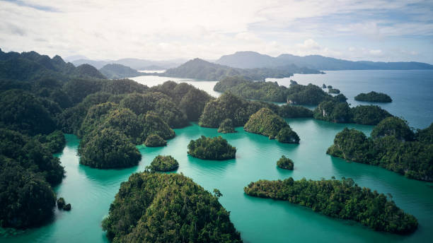Tanggapan iKKP tentang su jual beli pulau yang mencuat lewat salah satu situs properti internasional