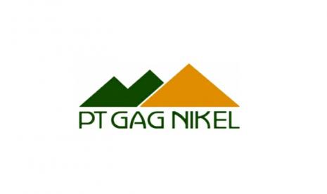 pt gag nikel