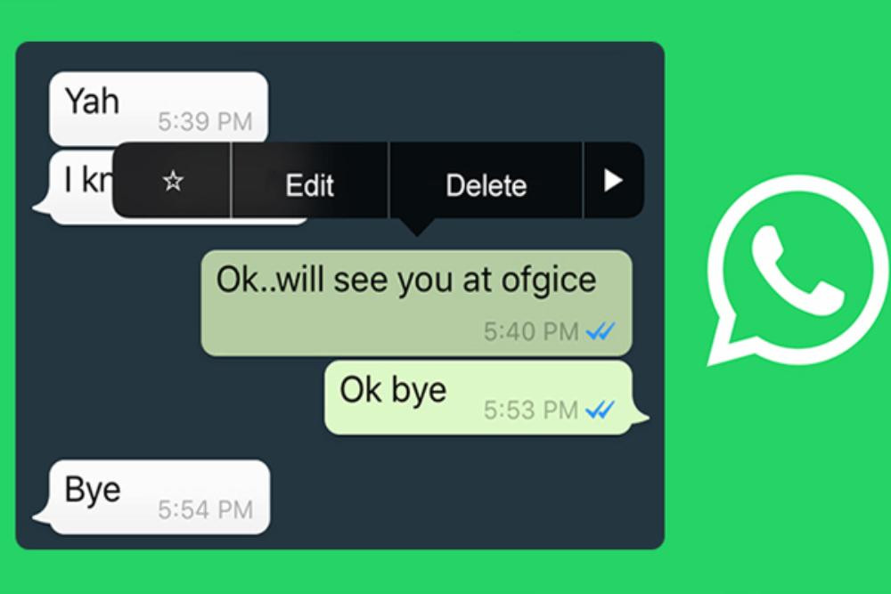 WhatsApp Translate: Terjemahan Pesan Instan Tanpa Ribet