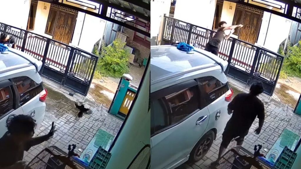 Detik-Detik Burung Hampir Lepas, Berhasil Ditangkap Teman Bak Kiper Timnas (TikTok/@ipnuuuuuuuuu)