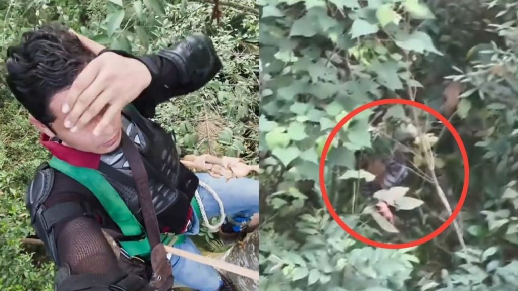 Pria di Malaysia Bertahan di Atas Pohon Saat Dikepung Harimau (TikTok/@fahad.mk_)