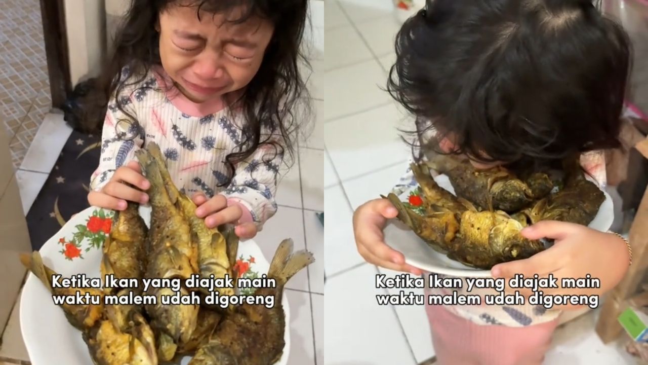 Anak Kecil Menangis Sedih Setelah Ikan Kesayangannya Digoreng Sang Nenek (TikTok/@initehrizka)