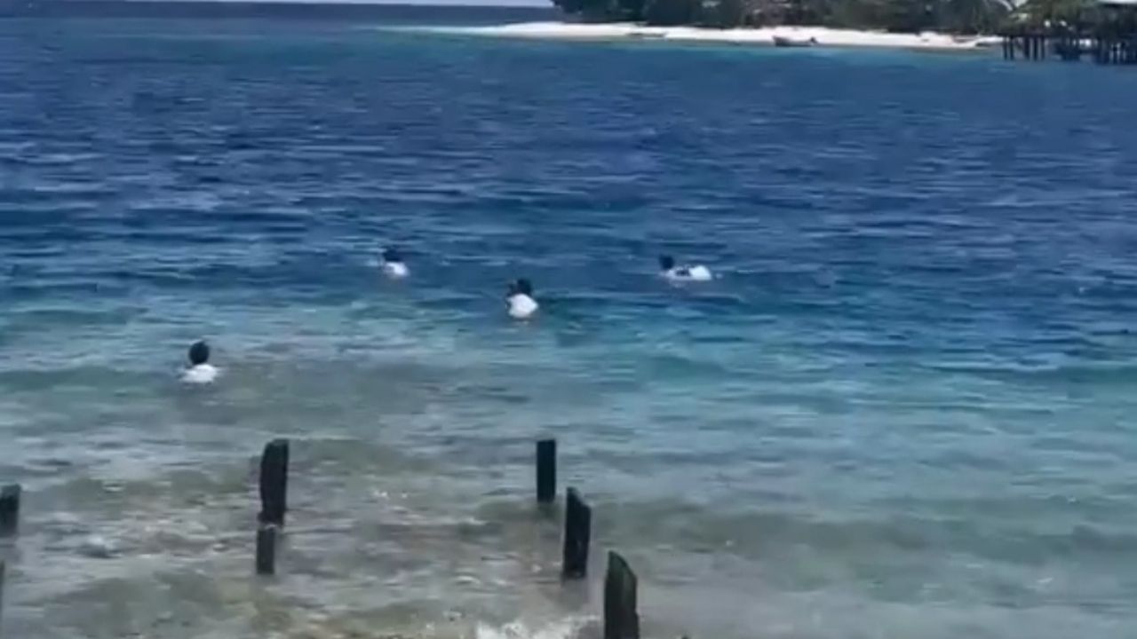 Anak-Anak di Pulau Morotai Pulang Sekolah Antar Pulau dengan Berenang (TikTok/@desaposiposi.id)