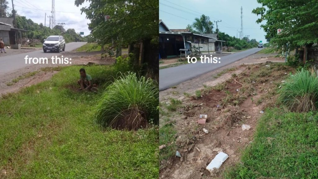 Momen ODGJ 4 Hari Depan Rumah Netizen Ini, Nyabutin Rumput Sampai Bersih (TikTok/@dailyofjobseeker)