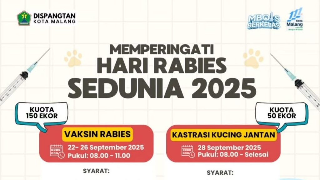 Dispangtan Kota Malang Gelar Vaksin Rabies dan Kastrasi Kucing Gratis (Instagram/@puskeswankotamalang)
