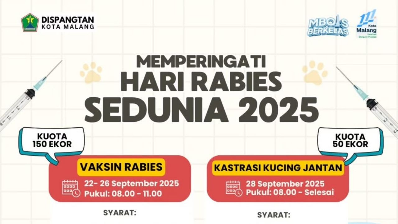 Dispangtan Kota Malang Gelar Vaksin Rabies dan Kastrasi Kucing Gratis (Instagram/@puskeswankotamalang)
