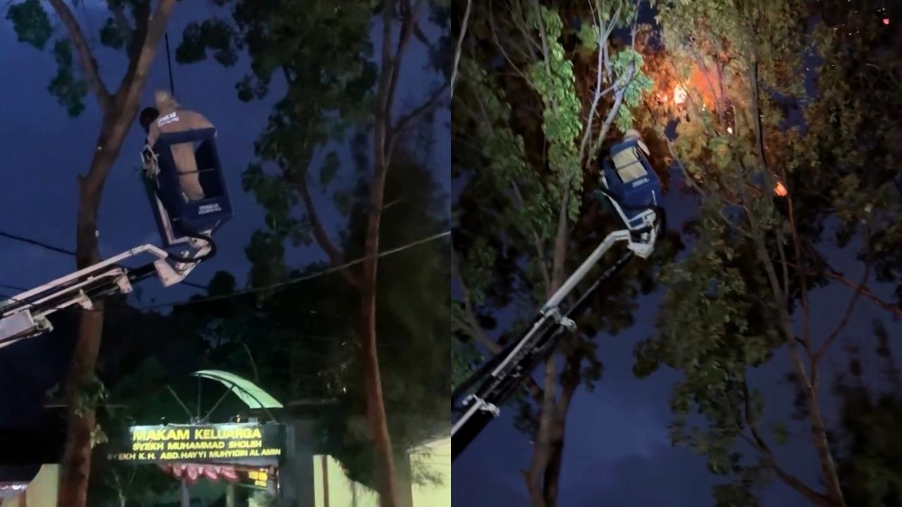 Damkar dan DLH Kota Malang Evakuasi Sarang Tawon di Jalan Sulfat (Instagram/@malangfire_)