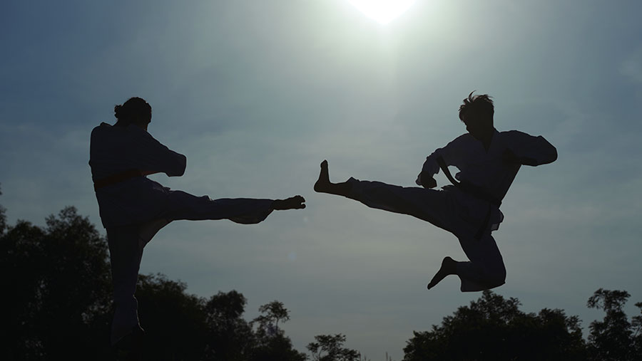 Hailuo AI Kungfu: Mengubah Foto Biasa Jadi Adegan Kung Fu