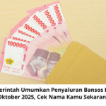 Cek Status dan Saldo BPNT 2025 Lewat HP, Resmi!