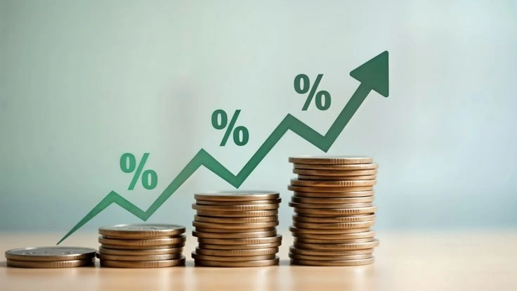 Cara Berinvestasi bagi Pemula agar Cepat Paham dan Tidak Salah Langkah