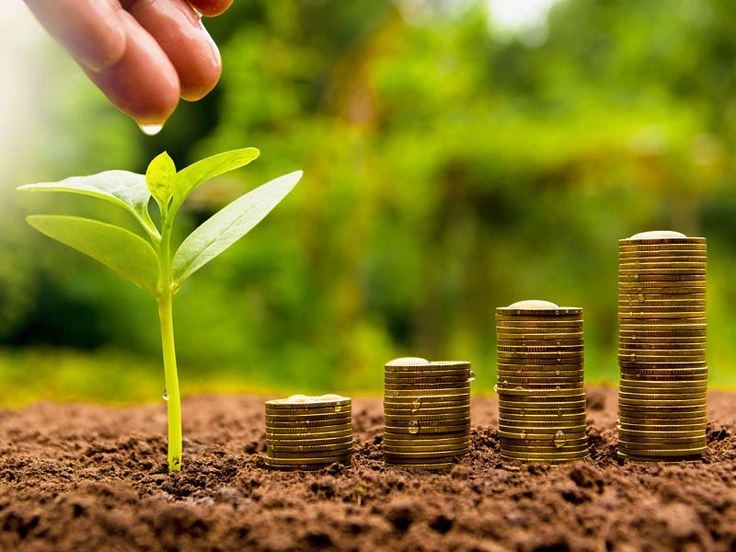 Cara Trade Crypto untuk Pemula, Panduan Langkah demi Langkah