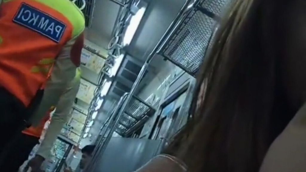 Alami Pengalaman Tak Menyenangkan, Cewek Ini Diikuti Cowok Tidak Dikenal Saat di Kereta (TikTok/@pecorine.chan)