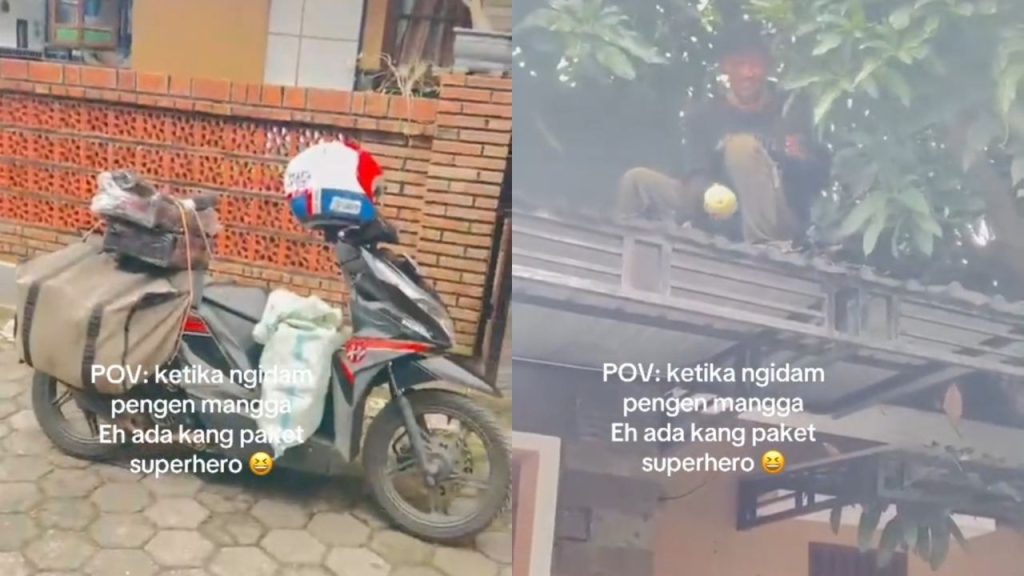 Momen Lucu Tukang Paket Bantuin Ibu-Ibu yang Lagi Ngidam Metik Mangga di Atap Rumahnya (TikTok/@peni_putzrhie9)