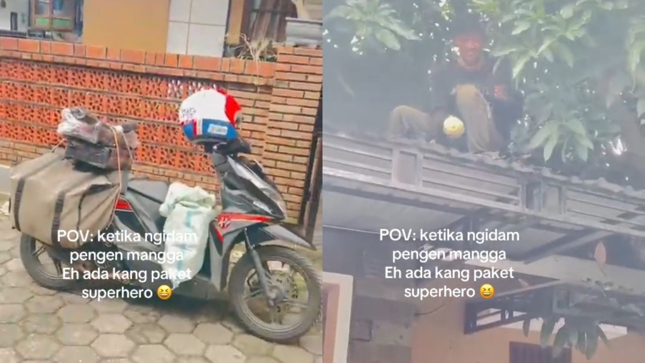 Momen Lucu Tukang Paket Bantuin Ibu-Ibu yang Lagi Ngidam Metik Mangga di Atap Rumahnya (TikTok/@peni_putzrhie9)