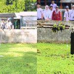 Melihat Kucing Terjebak, Para Siswa SMA Ini Langsung Turun Tangan Menyelamatkan (TikTok/@cipupuyu)