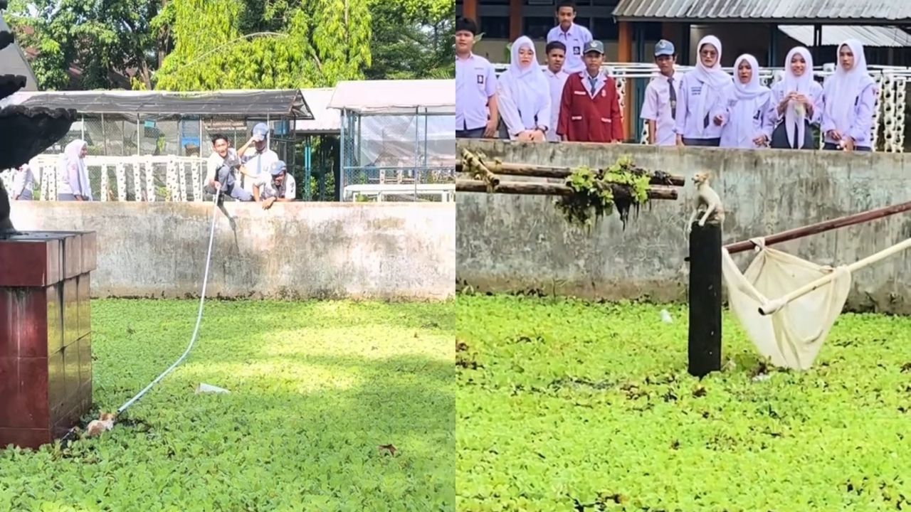 Melihat Kucing Terjebak, Para Siswa SMA Ini Langsung Turun Tangan Menyelamatkan (TikTok/@cipupuyu)