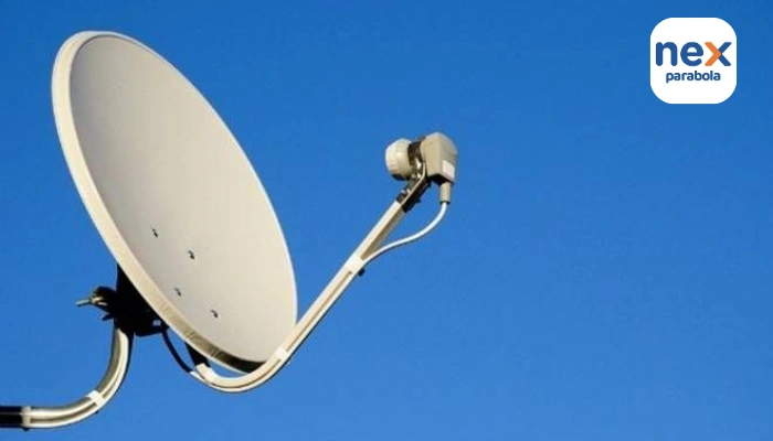 Panduan Lengkap Cek Paket Nex Parabola untuk Semua Pengguna